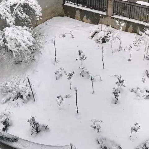 下雪啦