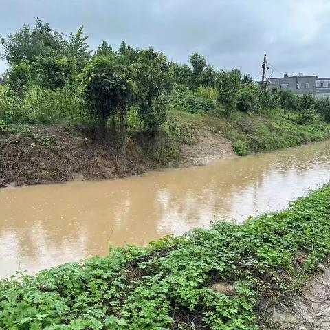 莲湖街道办事处本轮降雨应对措施