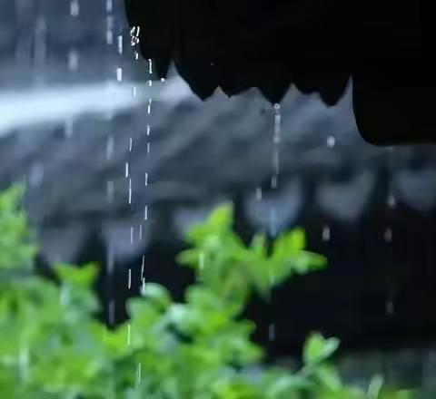 樱桃进士听雨