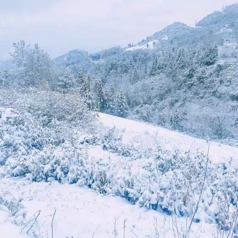 雪