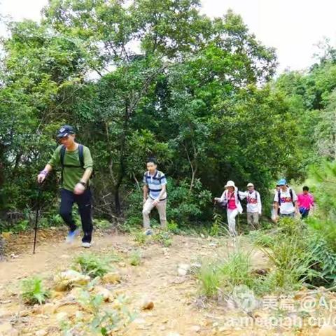 云飘雾渺大南山