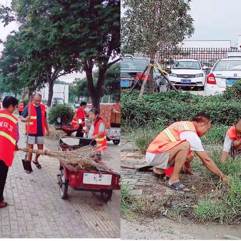 漯河亿通康洁 ，精细化保洁让城市更“精致”