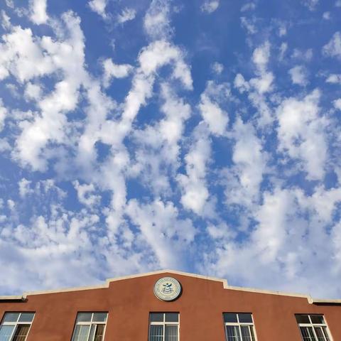 “停课不停学”——达芬奇班线上教学活动（十六）