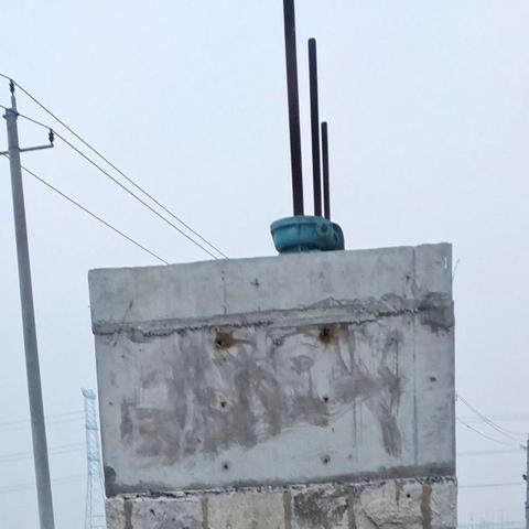 2025年2月的荒野之旅：时光与自然交织的印记