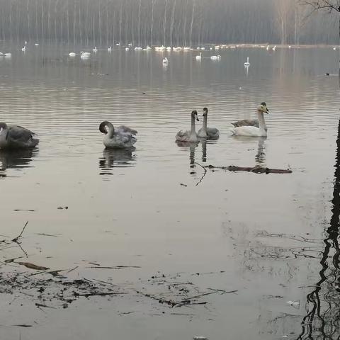 我童年的记忆的美篇