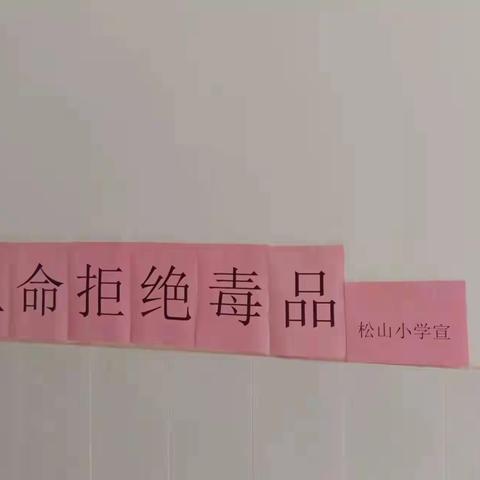 松山小学的美篇