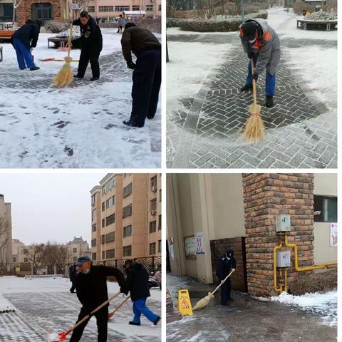 南辰雅园2月份日常工作简报