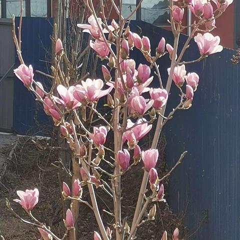 浩荡东风拂面暖，“雷锋精神”满校园