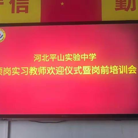 春风生处，畅展芳华