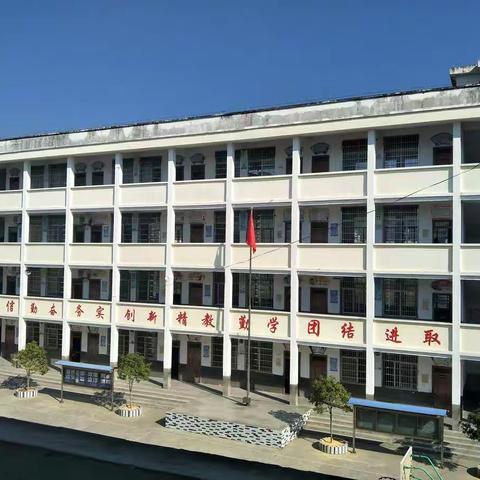 郑坊台湖小学:初夏，我们相约在校园🤗