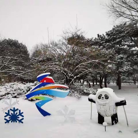 雪中漫游北京植物园