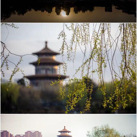 长春：遇见花开