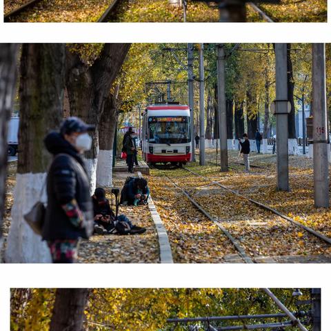 打卡：长春五十四路有轨电车