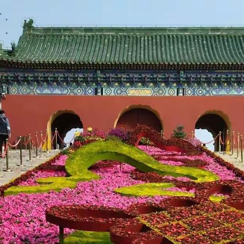 2022天坛公园菊花展