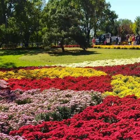 2022国家植物园菊花展