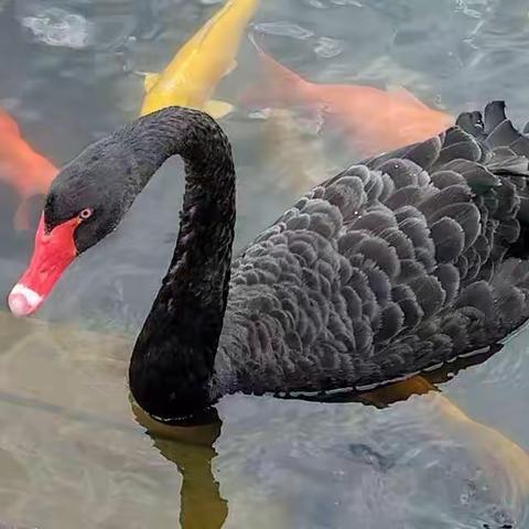 2022年夏游圆明园