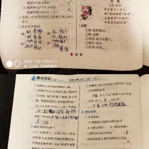 第四小学四年级四班杨佳伟