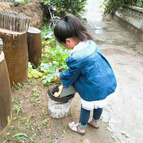 三年一班暑假社会实践活动剪影