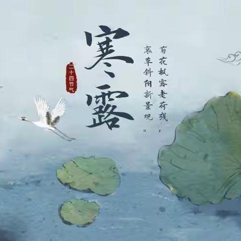 《袅袅凉风动 ，寒露秋更浓》近德固第一幼儿园—寒露主题活动