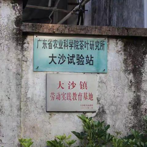 大沙里