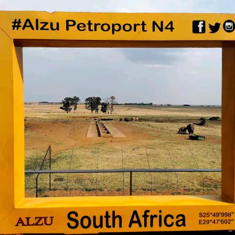 奔向乌干达🇺🇬—选妃追猩（十九）