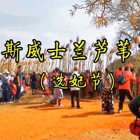 斯威士兰芦苇节（选妃节）【视频】