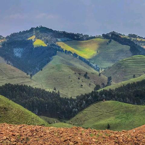 非洲明珠卢旺达—选妃追猩（24）