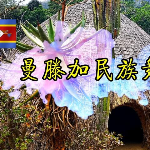 斯威士兰曼滕加民族舞【视频】