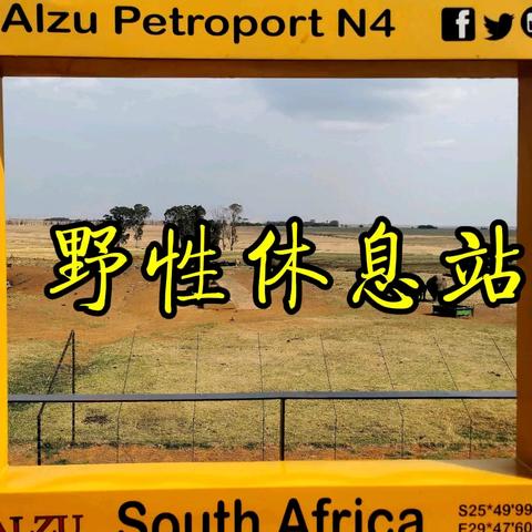 南非的野性休息站【视频】