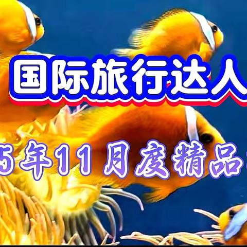 2025年11月度精品推荐