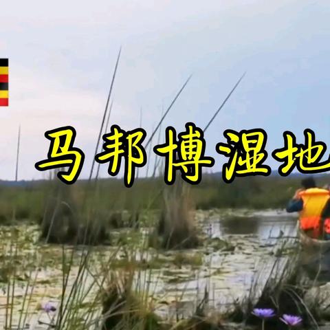 乌干达马邦博湿地【视频】