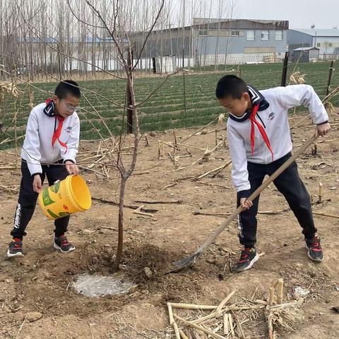 种一棵小树，绿一方净土       博兴县第一小学六年级2班植树节活动