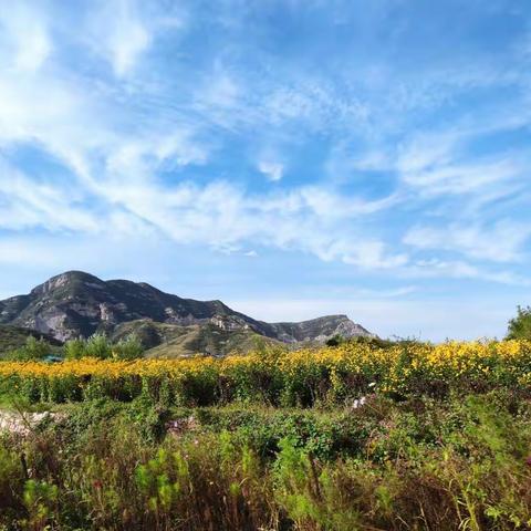 🥰游光历影拾遗（2）