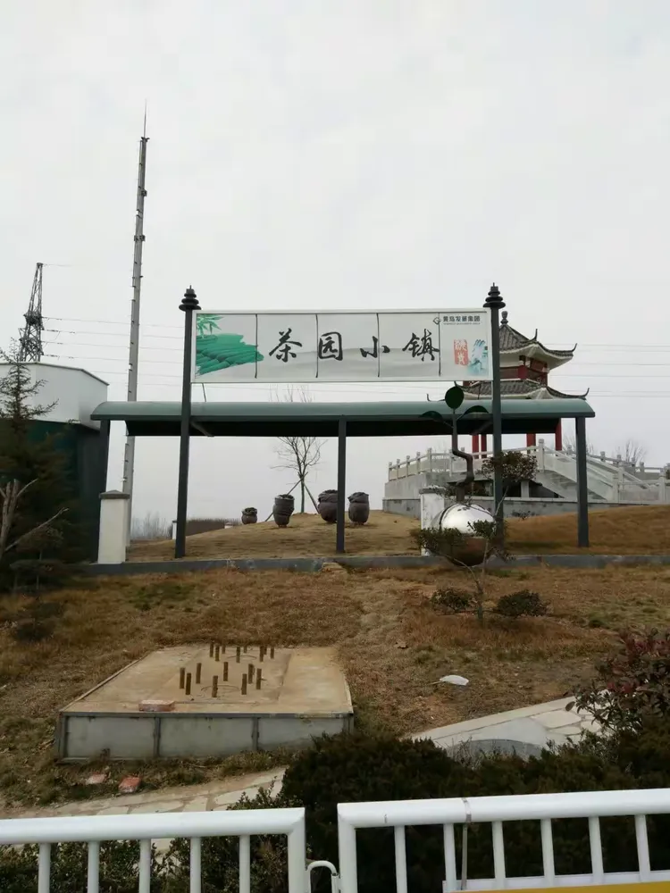 优雅的海青茶博园