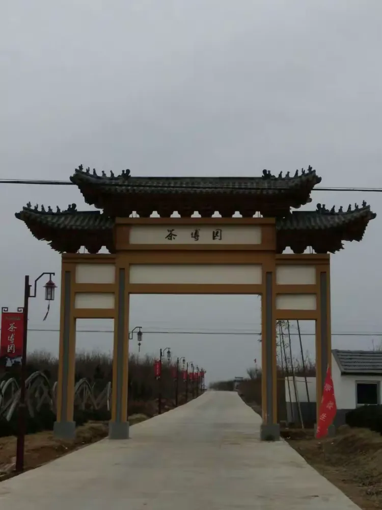 优雅的海青茶博园