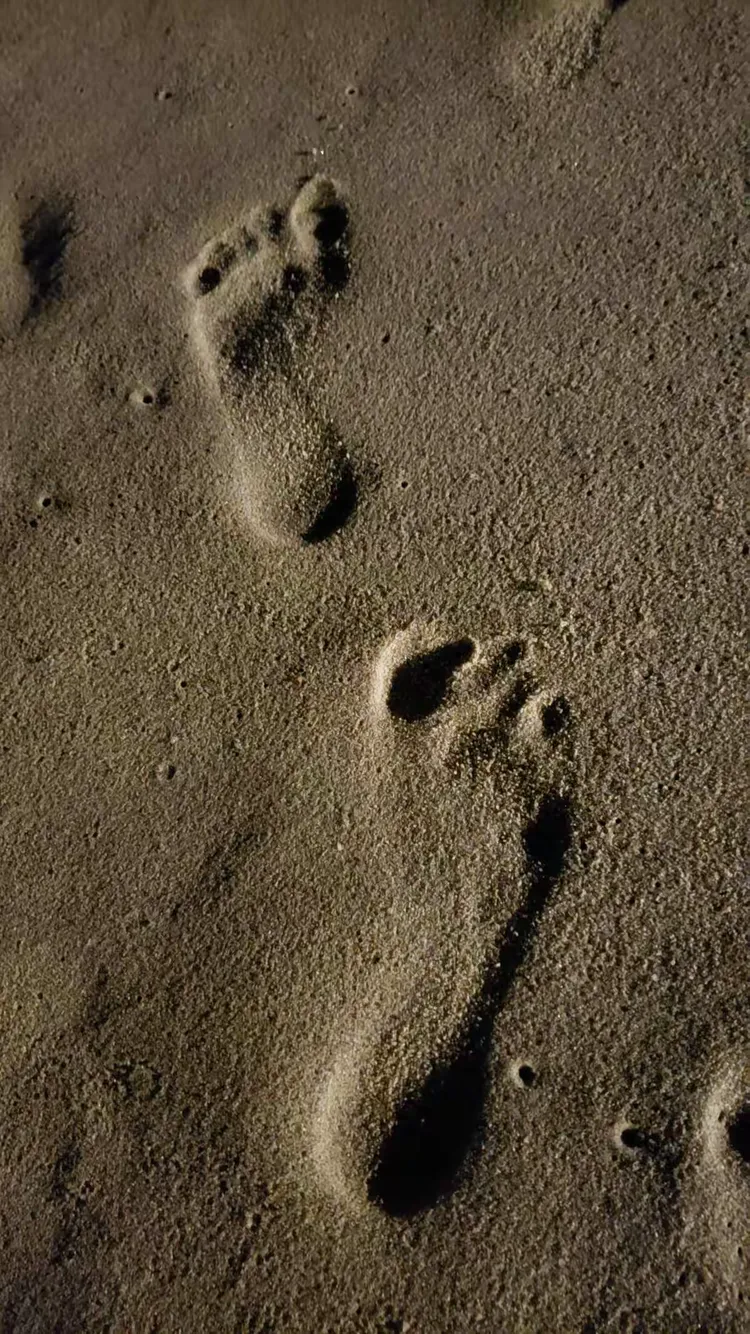 留一个足印吧,我走过