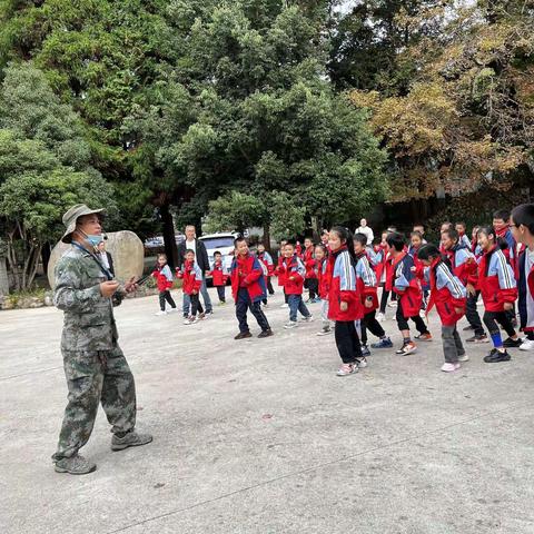 走进多肉基地，感受别样文化——记沙湾镇中心学校研学之旅