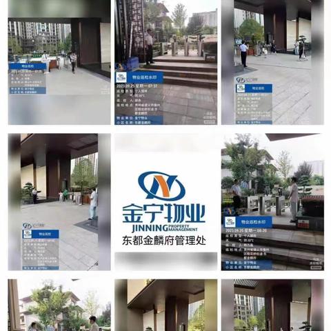东都金麟府小区2023年9月工作汇报