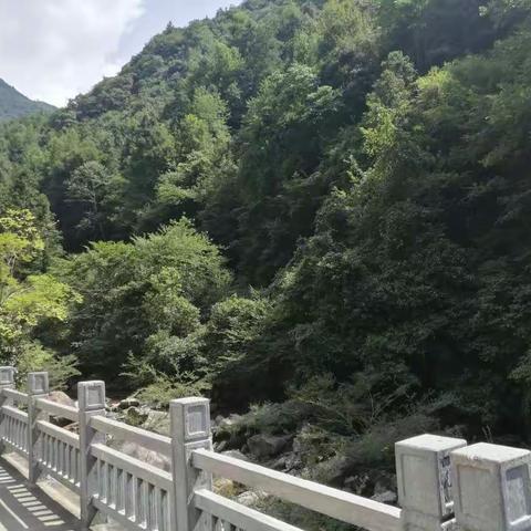 一步一石，步步为赢