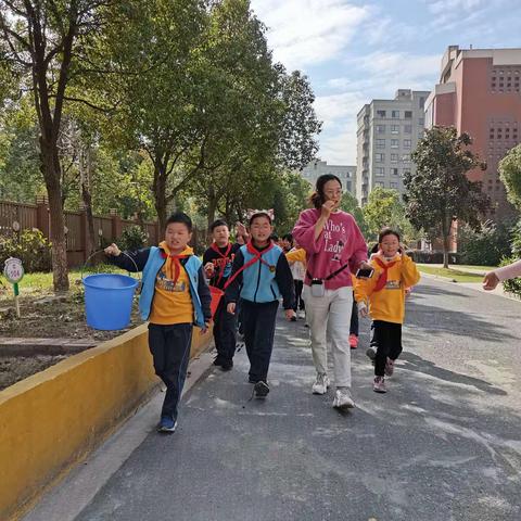 我们的菜地！