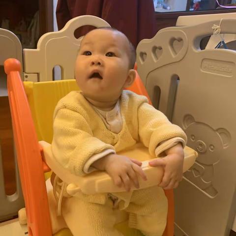 小意周岁（202211-202301）