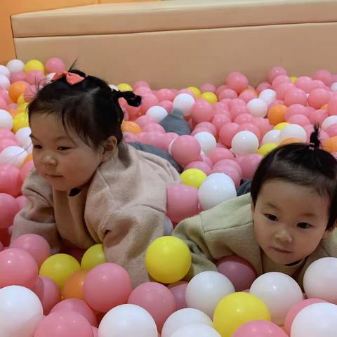 小姐俩2024（一季度）