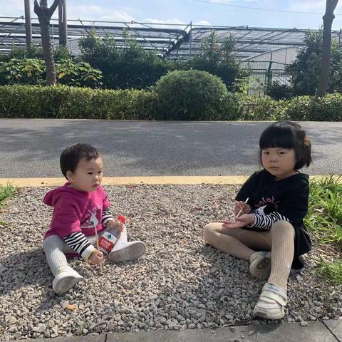 2023年（202310-202312）