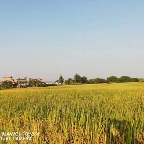 渠水潺湲润心田