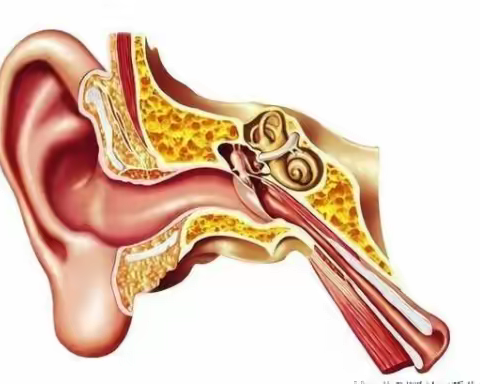 耳鸣耳聋怎么治？给你的健康支招！