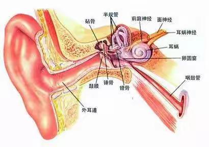 点燃医学新希望，耳鸣耳聋不再是难题