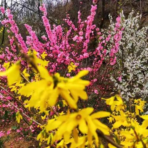 春天到了眼睛就痒，是怎么回事？