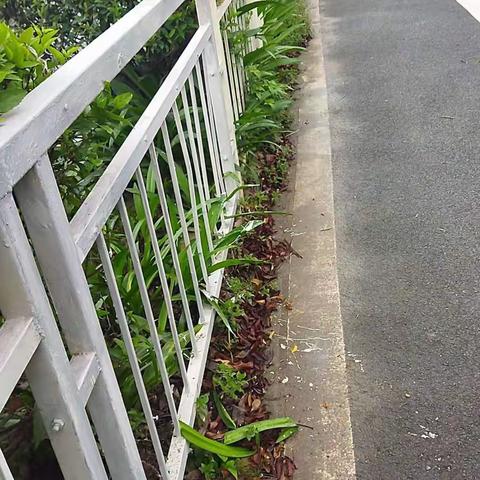 【广信】广信建设工程有限公司2022年6月1日工作记录