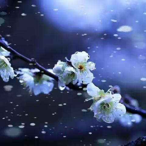 芳草涛声酬唱集