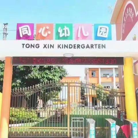 【同心幼儿园】《“同”心筑童梦、约“绘”润童年·》——大三班开学第一周精彩回顾🤗